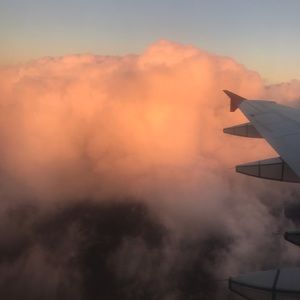 Meet your Posher, Bleda